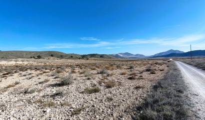 Revente - Land - Canada del Trigo