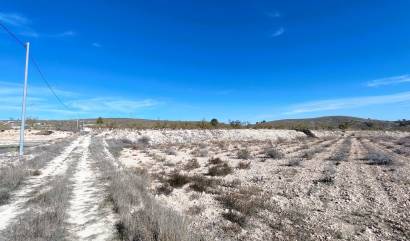 Revente - Land - Canada del Trigo
