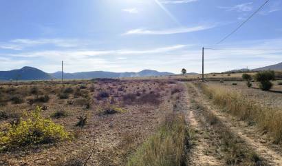 Revente - Land - Canada del Trigo