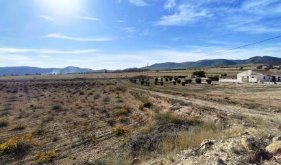 Revente - Land - Canada del Trigo