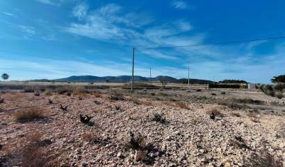 Revente - Land - Canada del Trigo