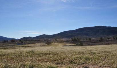 Revente - Land - Chinorlet