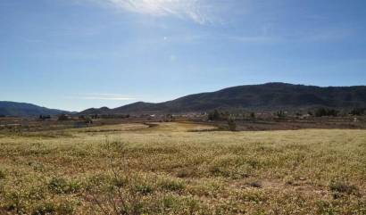 Revente - Land - Chinorlet