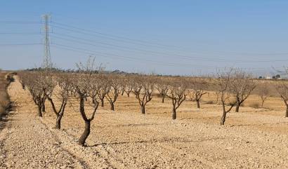 Revente - Land - Jumilla