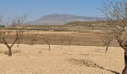 Revente - Land - Jumilla