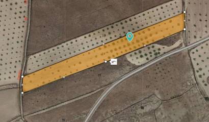 Revente - Land - Jumilla