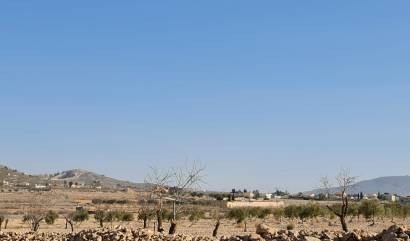 Revente - Land - Jumilla