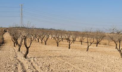 Revente - Land - Jumilla