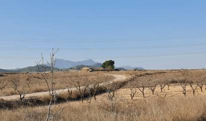 Revente - Land - Jumilla