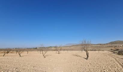 Revente - Land - Jumilla