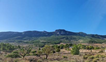 Revente - Land - La Romana