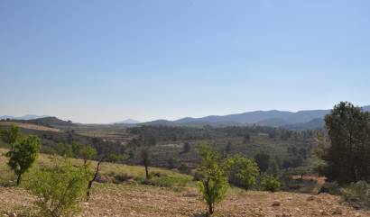 Revente - Land - La Zarza