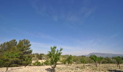 Revente - Land - La Zarza