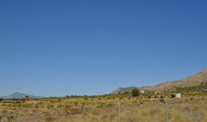 Revente - Land - Macisvenda