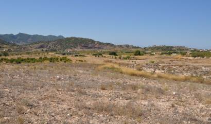 Revente - Land - Macisvenda