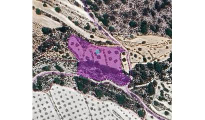 Revente - Land - Monovar