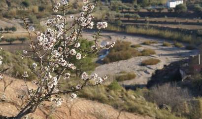Revente - Land - Murcia