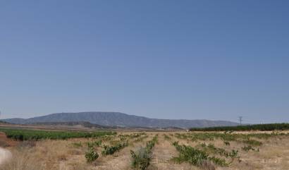 Revente - Land - Pinoso