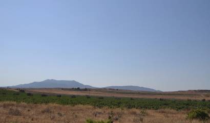 Revente - Land - Pinoso