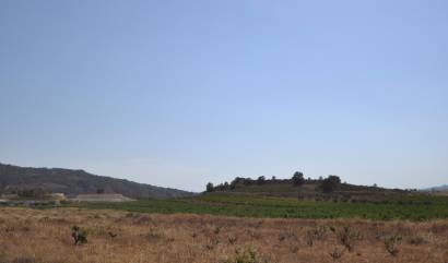 Revente - Land - Pinoso