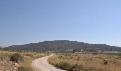 Revente - Land - Pinoso