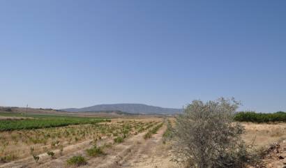Revente - Land - Pinoso