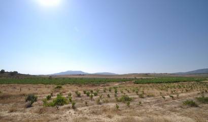 Revente - Land - Pinoso