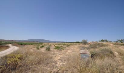Revente - Land - Pinoso