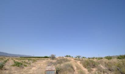 Revente - Land - Pinoso