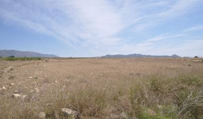 Revente - Land - Pinoso