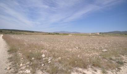 Revente - Land - Pinoso