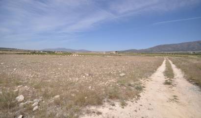 Revente - Land - Pinoso