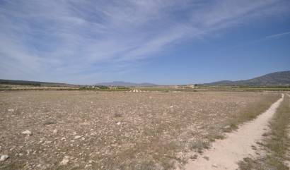 Revente - Land - Pinoso