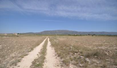 Revente - Land - Pinoso