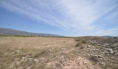 Revente - Land - Pinoso