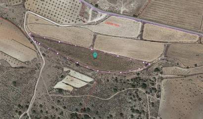 Revente - Land - Pinoso