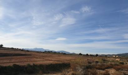 Revente - Land - Pinoso