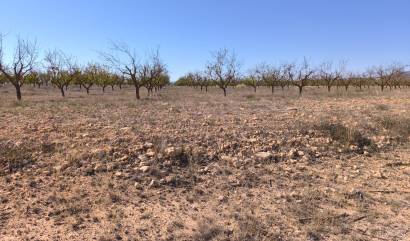 Revente - Land - Pinoso