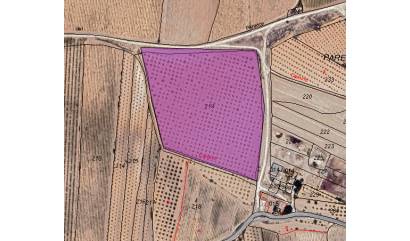 Revente - Land - Pinoso