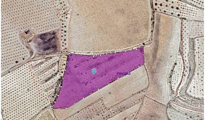 Revente - Land - Pinoso