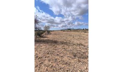 Revente - Land - Pinoso