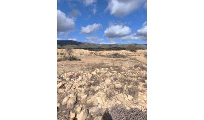 Revente - Land - Pinoso