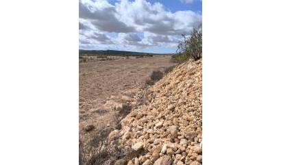 Revente - Land - Pinoso