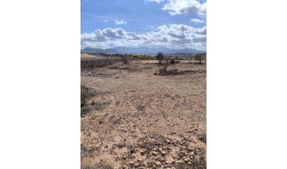 Revente - Land - Pinoso