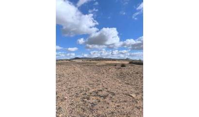 Revente - Land - Pinoso