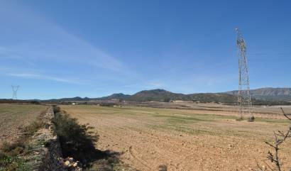 Revente - Land - Salinas