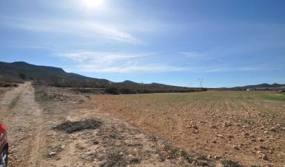 Revente - Land - Salinas