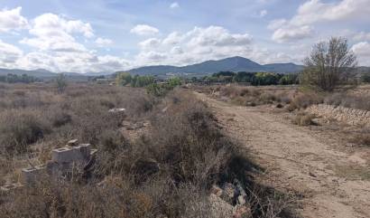 Revente - Land - Salinas