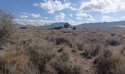 Revente - Land - Salinas