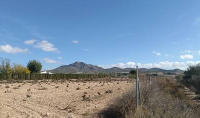 Revente - Land - Salinas